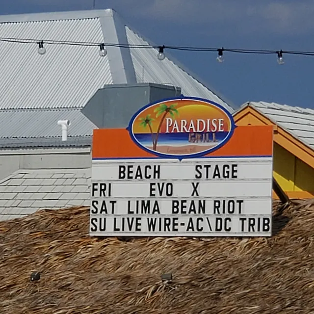 LIVE WIRE gallery image 104