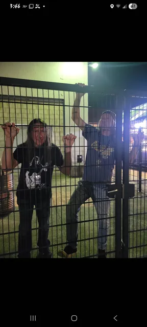 LIVE WIRE gallery image 043